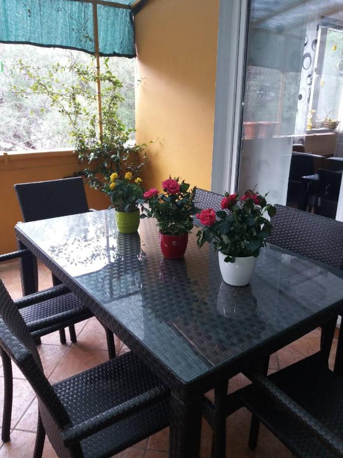 Apartman Lucica Ζαντάρ Εξωτερικό φωτογραφία