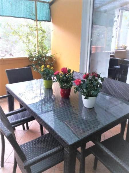 Apartman Lucica Ζαντάρ Εξωτερικό φωτογραφία